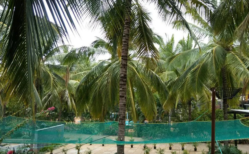 coconut tree nets in bangalore