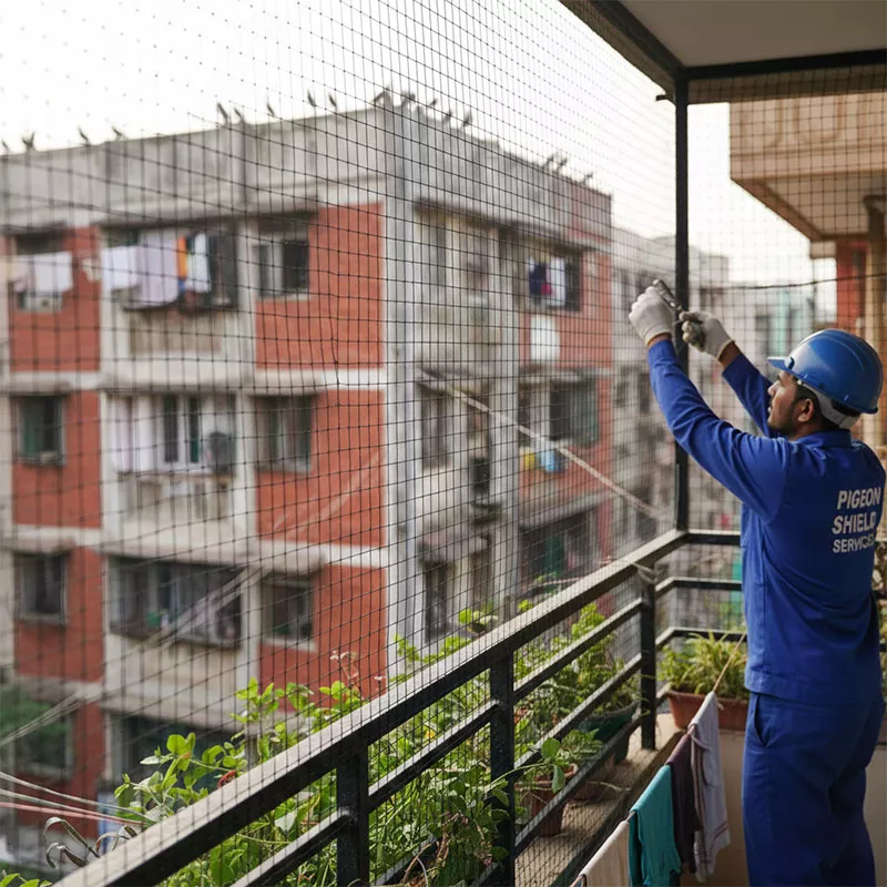Pigeon Nets Installation Charges in Bangalore