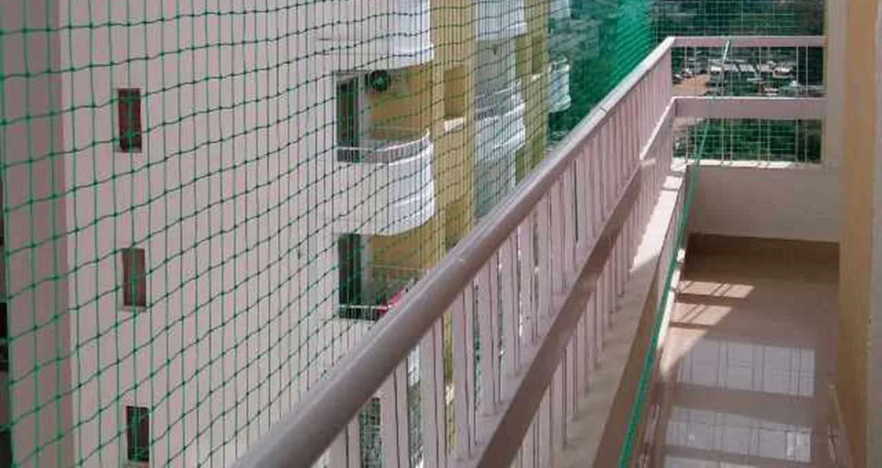 Pigeon Safety Nets in Basavanagudi