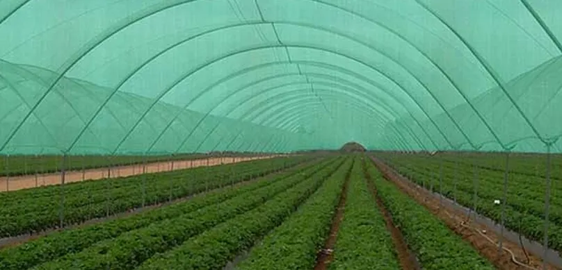 Green House Shade Nets In Bangalore