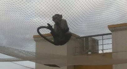 Monkey Safety Nets In Bangalore