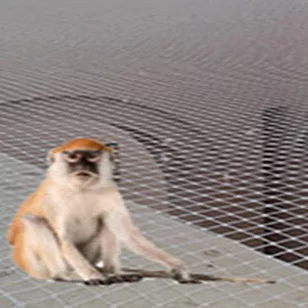 Monkey Safety Nets In Bangalore