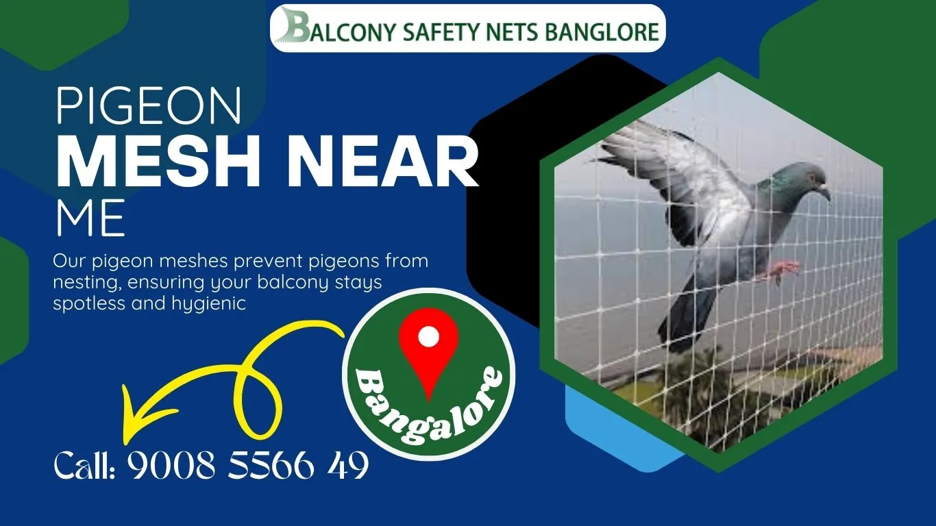 Pigeon Mesh near me in Bangalore