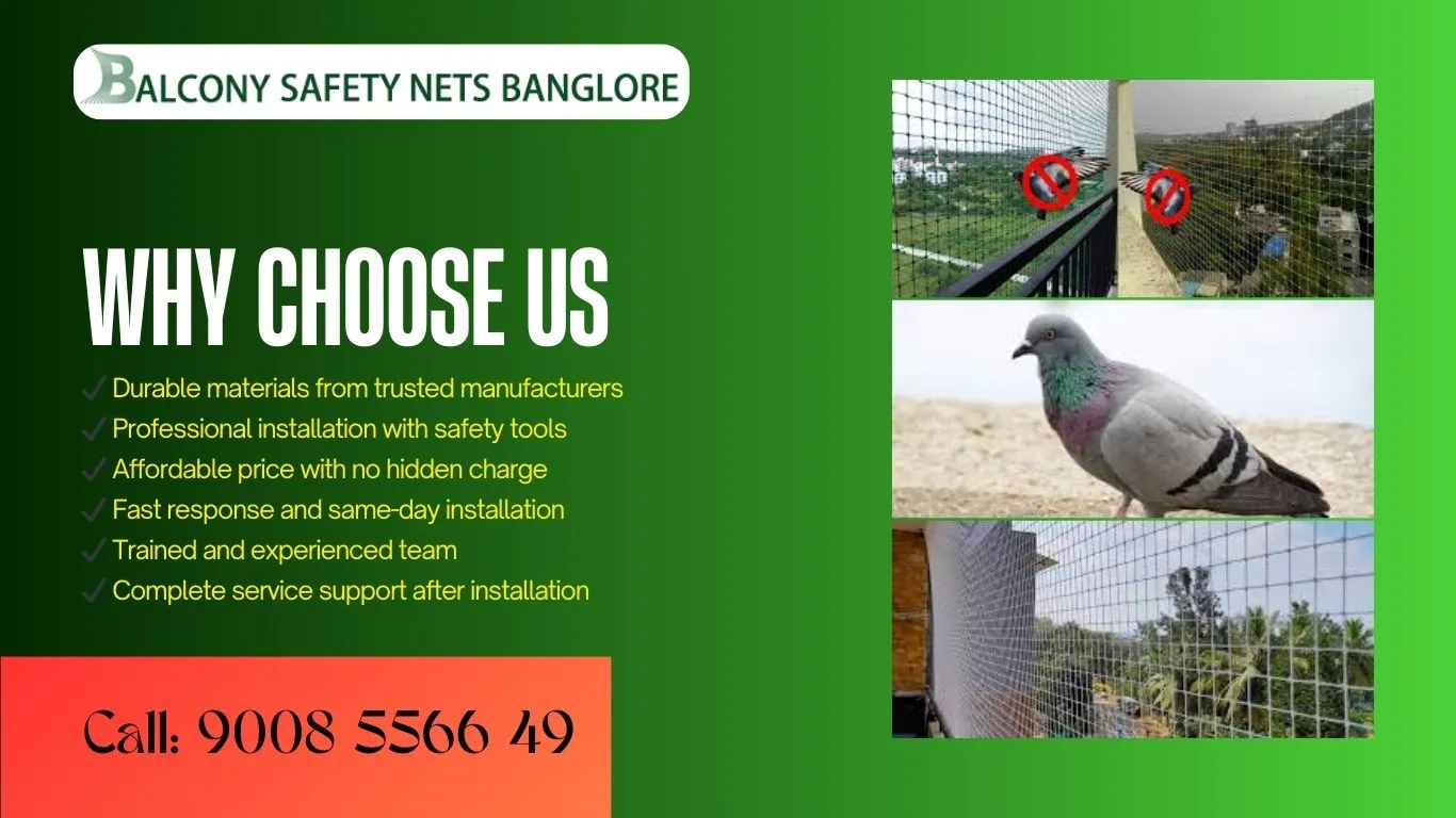 Pigeon Net Dealers Near Me