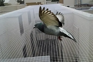 Pigeon Nets For Balconies In Bangalore