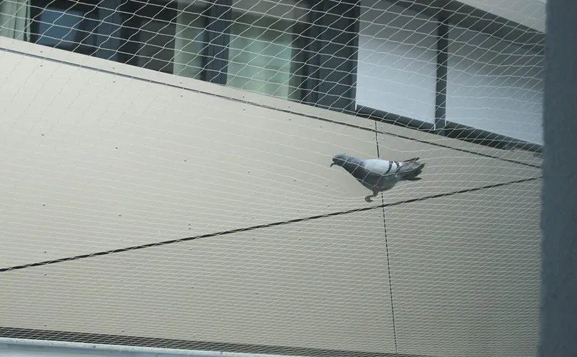 Pigeon Nets For Balconies In Bangalore